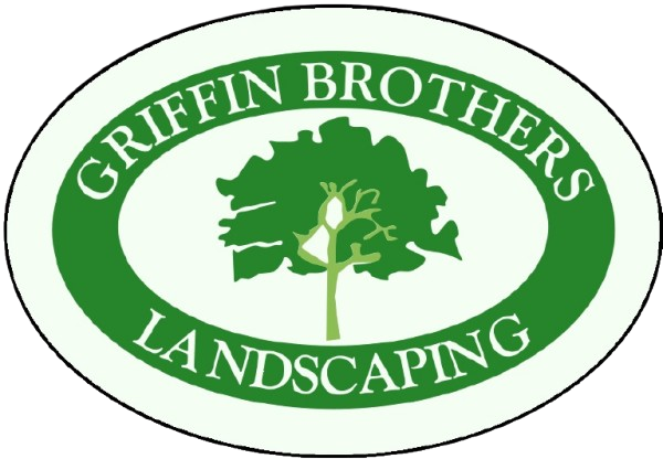 logo-removebg-preview