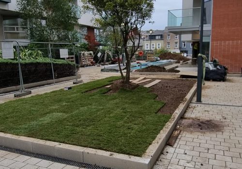 Commercial Maintenance