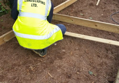 Gallery 11 Gallery 11